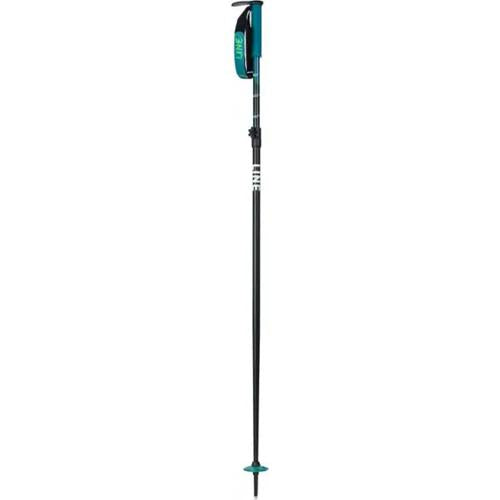 Paintbrush Ski Poles - Pair